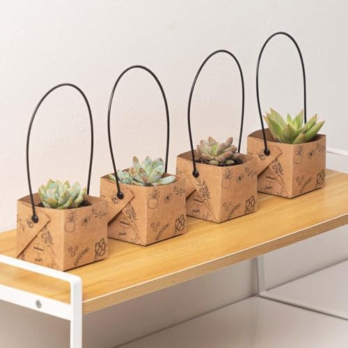 40Pcs Succulent Wrap Bags (fits 2 inch pots), Mini Kraft Succulent Favour Box Basket with Handle for Wedding, Baby Shower, Succulent Party Favours for Guests - Image 3
