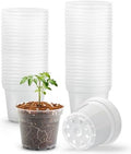 BTPLASTIK 50 Pack 3 Inch Clear Nursery Pots with Drainage Hole, Small Transparent Seed Starter Pots, Sturdy Plastic Plant Pot for Planting Seedlings Vegetables Flowers (3Inch-50P) by BTPLASTIK
