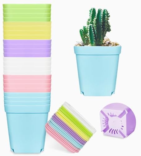 24 Pack 3inch Multi Color Square Plastic Plant Pots,Seedling Nursery Transplanting Planter Container Indoor Outdoor for Your Room,Garden Office and Balcony Decor by Anyumocz
