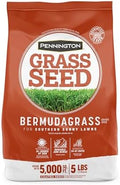 Pennington Bermudagrass Southern Grass Seeds for Lawn, 5 lb by Pennington