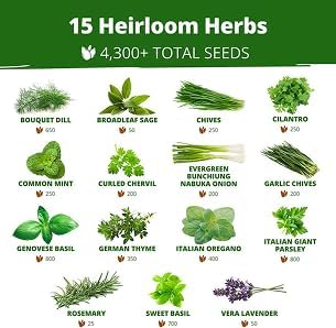 HOME GROWN 15 Herb Seed Variety Kit, 4,300+ Seeds, Culinary Herb Kit - Image 2