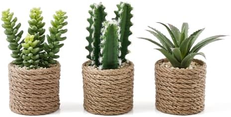 3-Pack Artificial Succulent Plants in Vintage Plastic Pots - Fake Waterproof Succulents Decor for Home, Office, Desk, Shelf - Low Maintenance Indoor Greenery for Bathroom, Living Room, Table Decor by Fuxdre