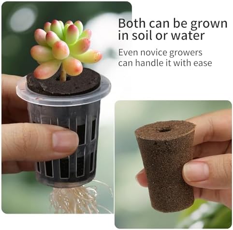 Clear Hydroponic Nursery Pots with Humidity Domes & Rrow Sponge 6-Pack - Image 6