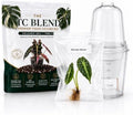 Alocasia Venom, Complete Tissue Culture Kit – Rare Live Alocasia Plant Starter, Indoor Houseplant by Unknown