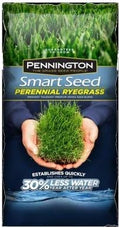 Pennington Seed Green Turf, Smart Seed Perennial Ryegrass Premium Grass Seed Blend 600 Sq. Ft. Bagge by Pennington