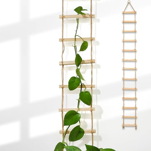 Plant Ladder Indoor Plants Hanging Wooden Trellis Vine Support by Goooxim