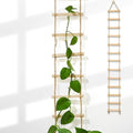 Plant Ladder Indoor Plants Hanging Wooden Trellis Vine Support by Goooxim