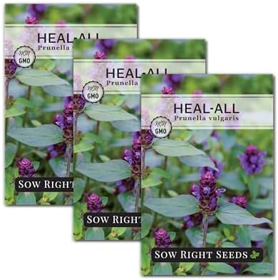 Sow Right Seeds - Heal-All Seed for Planting Self Heal Perennial Herb 3pk by SowRightSeeds