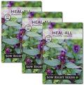 Sow Right Seeds - Heal-All Seed for Planting Self Heal Perennial Herb 3pk by SowRightSeeds
