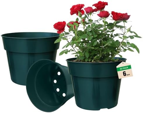 RooTrimmer 50 Pack 6 Inch Nursery Pots, Planting Grow Plastic Flower Pots, Thick Planters with Drainage Holes for Outdoor/Indoor Plants Succulent Herb (Green) by RooTrimmer