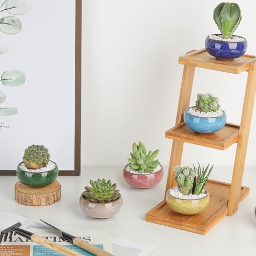 T4U Mini Succulent Pots, Small Shallow Ceramic Pots, Retro Gift Set of 12 - Image 5
