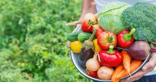 Organic Growing Fertilizer 1 Gal, CDFA Organic Registered. Plant Care Fertilizer for Vegetable Gardens Like Tomato, Cucumber, Squash, Beans and All Other Plants - Image 3