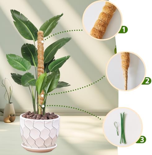 2 Pack Moss Pole,27.6 Inch Moss Poles for Plants Monstera Bendable Plant Stakes for Indoor Coco Coir Pole Climbing Plant Support Stakes for Creeper Plants Grow Upwards - Image 4