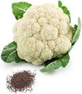 Bmore Spicy Cauliflower (Brassica oleracea) Seeds, Non-GMO Heirloom for Planting, 1000 Fresh Seeds for Indoor and Outdoor Gardening – A Garden Staple for Cool Seasons by BmoreSpicy