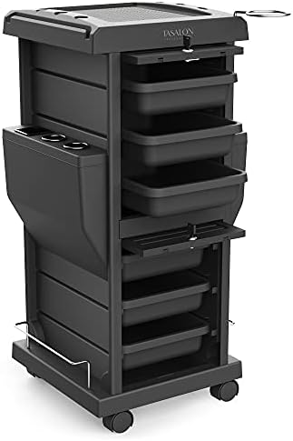 TASALON Lockable 6-Tray Salon Rolling Cart with 2 Holders, Black by TASALON