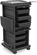 TASALON Lockable 6-Tray Salon Rolling Cart with 2 Holders, Black by TASALON