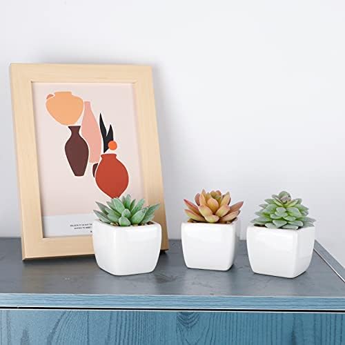 FUNARTY 5pcs Artificial Succulent Plants, Small Fake Desk Plants Mini Succulents Indoor for Shelf Living Room Bedroom Windowsills Office Home Decoration (Include White Ceramic Pots) - Image 7