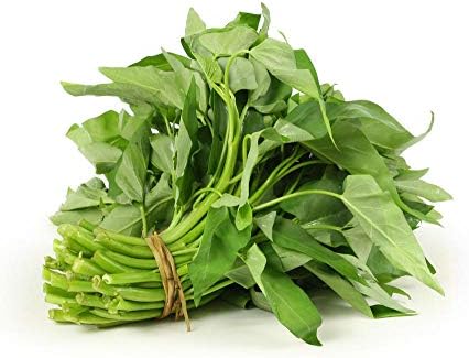 1000 Kangkong Seeds for Planting – Rau Muong Seeds Vietnam Variety – Kong Xin CAI Ong Choy Asian Vegetable for Filipino & Vietnamese Garden Growing - Image 7