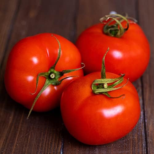 Bonnie Plants Bonnie Original Tomato Live Vegetable Plants - 4 Pack, Disease Resistant, 6 - 8 Oz. Fruit Size, Great for Slicing - Image 3