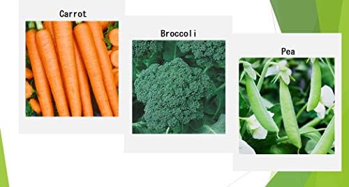 Premium Winter Vegetable Seeds Collection for Planting Organic Non-GMO Heirloom Seeds Radish, Pea, Broccoli, Beet, Carrot, Cauliflower, Green Bean, Kale, Arugula, Gardner and Chef Favorites - Image 3