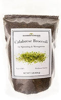 Broccoli Seeds for Sprouting & Microgreens | Calabrese Variety | Non GMO & Heirloom Seeds | Bulk 1 LB Resealable Bag | Rainbow Heirloom Seed Co. by Rainbow+Heirloom+Seed+Co.