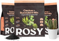 Rosy Soil Cactus & Succulent Potting Mix, 4 Quarts, Pack of 3 by RosySoil