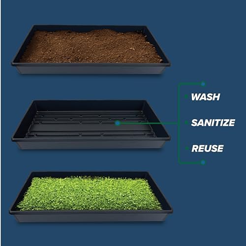 10 Plant Growing Trays (No Drain Holes) - 20" x 10" - Perfect Garden Seed Starter Grow Trays: for Seedlings, Indoor Gardening, Growing Microgreens, Wheatgrass & More - Soil or Hydroponic - Image 4
