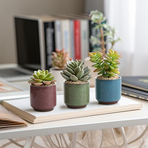 T4U Mini Succulent Pots, Small Ceramic Planters, Retro Gift Set of 6 - Image 4