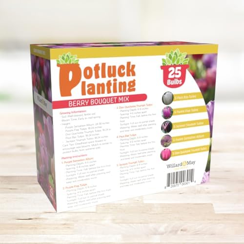 All-in-One Flower Garden Kit - 25 Flower Bulbs Per Box - Potluck Planting Berry Bouquet Mix - Allium and Tulip Mix - Fragrant - Naturalizing - Live Outdoor Garden - Easy to Plant Flowers - Image 6