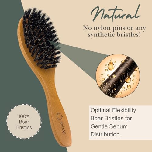 Reccsy 100% Boar Bristle Hair Brush Set with Bamboo Comb for Women - Image 3
