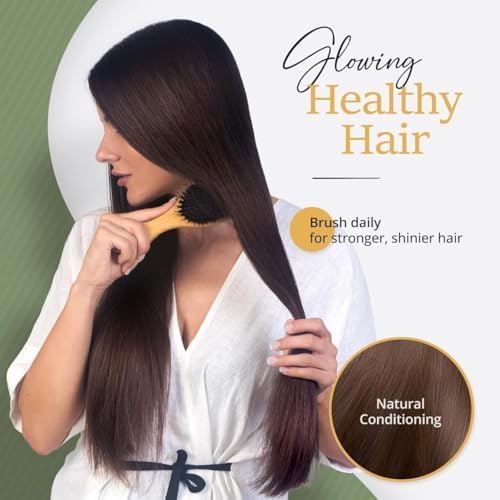 Belula Boar Bristle Hair Brush for Women and Men, Detangle Any Type of Hair - Image 3