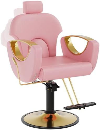 Salon Chair for Hair Stylist, Reclining Hair Salon Chair for Home by YOCONYO