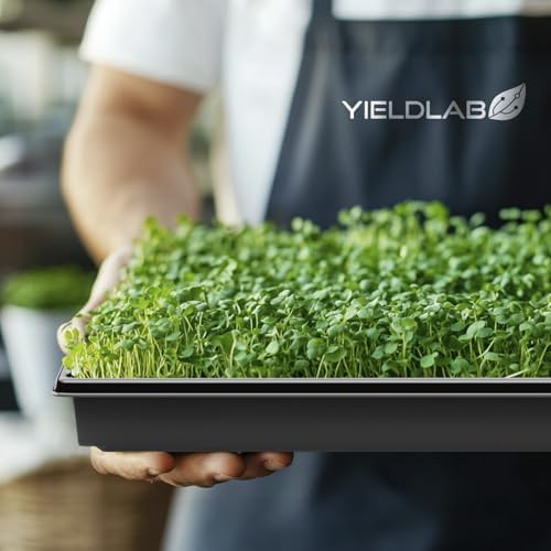 10x20 Inch Black Plastic 5 Pack Plant Propagation Tray - No Holes - Image 7