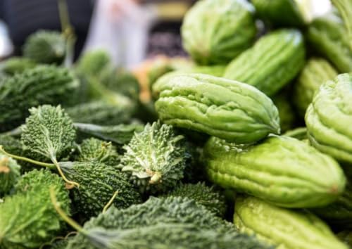 Bitter Melon Seeds (15 pcs) – Heirloom Bitter Gourd Vine Fast Climber Non-GMO - Image 3