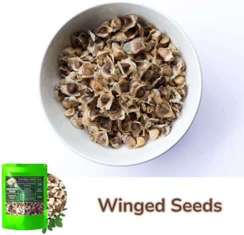 Herbalista Moringa Seeds | 3.5oz (100g) Approx. 350+ Seeds | Premium PKM1 Variety | Snacking & Planting | Non-GMO | Wildcrafted Drumstick Tree (Malunggay) | Moringa Oleifera Semillas - Image 5