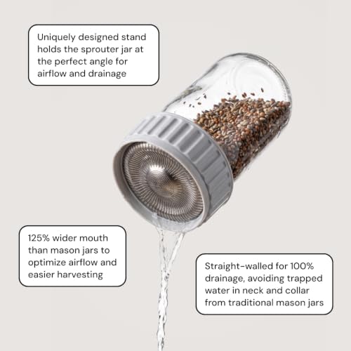 Jar Sprouting Kit with 8oz Broccoli Sprout Seeds - Image 4