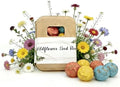 6Pack Colorful Wildflower Seed Ball Plantable Paper Favors, Easter Basket Essentials - Handmade Non-GMO, Gardening Gift for Beginner, Kids & Adults by WivolibeSeeds