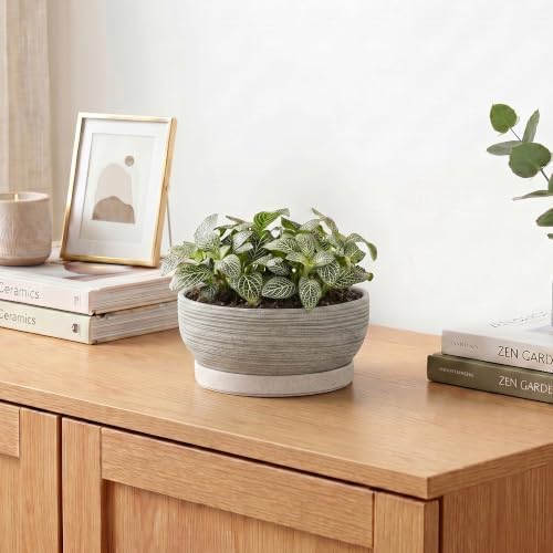 6 Inch Ceramic Succulent Planters with Saucer, Brushed Grey - Image 6