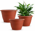 RooTrimmer 3 Pack 11 Inch Plant Pots Lightweight Planters with Drainage Holes,Durable Indoor & Outdoor Flower Pots for Garden,Patio & Home Decor(Pottery Red) by RooTrimmer