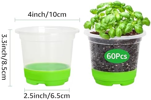 MIXC Clear Nursery Pots with Silicone Base, 4-Inch, 60-Pack - Image 2
