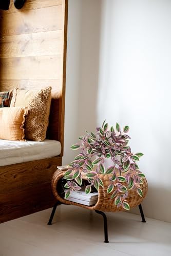 Briful Artificial Potted Plant Indoor, 17.7" Faux Trailing Plant in White Plastic Pot Blush Green Variegated Fake Cascading Plant for Bedroom Shelf Vanity Bathroom Office Desk Home Decor - Image 5