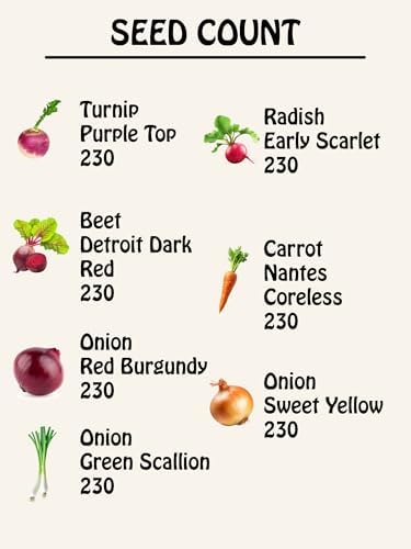 Root Vegetable Seed Set - 7 Varieties of Non-GMO Heirloom Premium Seeds for Planting - Onions, Carrot, Radish, Beet, and Turnip - Image 2