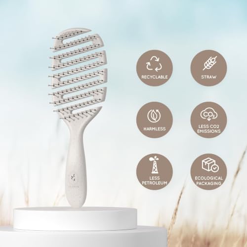 Detangler Hairbrush, Soft Bristle Detangling Brush,Quick Smoothing(Natural) - Image 3