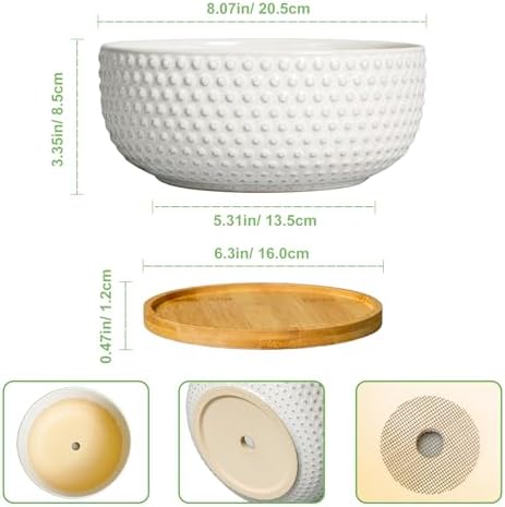Succulent Pots 8 Inch - Ceramic Bonsai Planters for Indoor Plants, Plant Pot with Drainage Hole and Saucer, Shallow Round Flower Planter, Modern Room Decor, Gifts for Plant Lover, White - Image 3