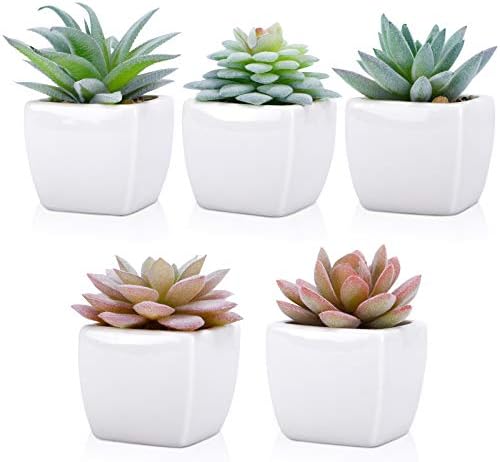 FUNARTY 5pcs Artificial Succulent Plants, Small Fake Desk Plants Mini Succulents Indoor for Shelf Living Room Bedroom Windowsills Office Home Decoration (Include White Ceramic Pots) - Image 3