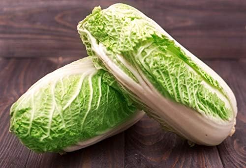 Seeds Vegetable Napa Cabbage Chinese Green - 300 Seeds - Image 2