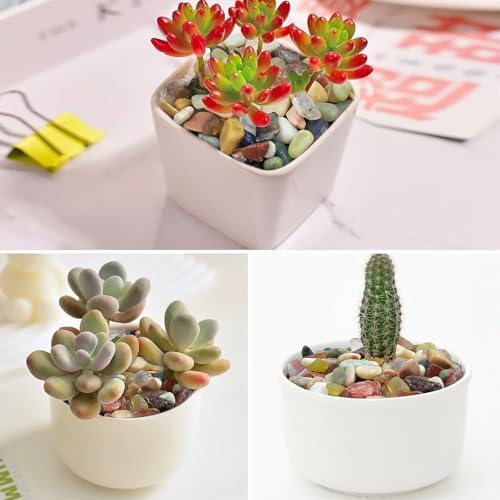 5LB Colorful Pebbles for Succulent, 3/8 Inch Natural River Rocks for Plants, Natural Decorative Polished Pebbles for Cactus,Vases, Planters,Outdoor Gardening and Indoor Plants - Image 4