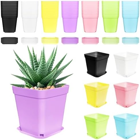 Anyumocz 70 PCS 3" Colorful Plastic Plant Pots,Plastic Square Nursery Pot,Seedling Nursery Pots with Saucers for Indoor Outdoor Plants,Garden,Flower,Home,Office,Balcony Decor by Anyumocz