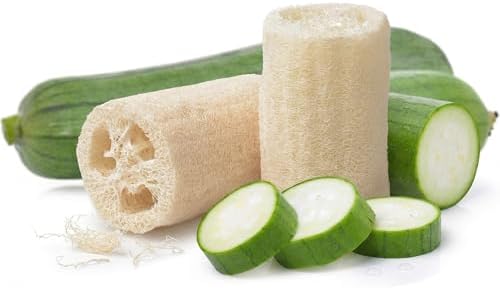 40 Loofah (Luffa) Gourd Seeds for Planting - Dual-Use Sponge and Edible Vine, Heirloom, Non-GMO, USA Grown by RDR Seeds by RDRSeeds