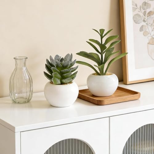 GREENTIME 6 Pcs Artificial Succulents in Ceramic Pots Small Fake Plants - Image 5